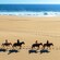 Eight Guests lined up during a horseback ride on a beach in Cabo San Lucas, Mexico